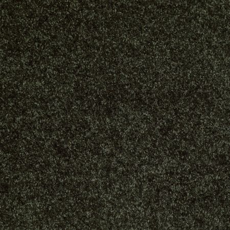 Shaw Floors Roll Special Xv463 Jaden