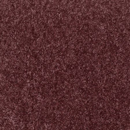 Shaw Floors Roll Special Xv463 Amethyst Sky