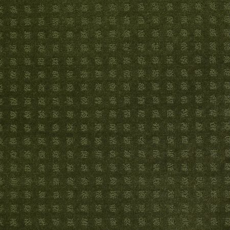 Shaw Floors Roll Special Xv621 Kelly