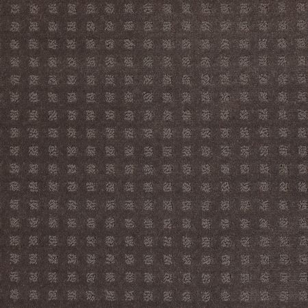 Shaw Floors Roll Special Xv621 Steel Beam