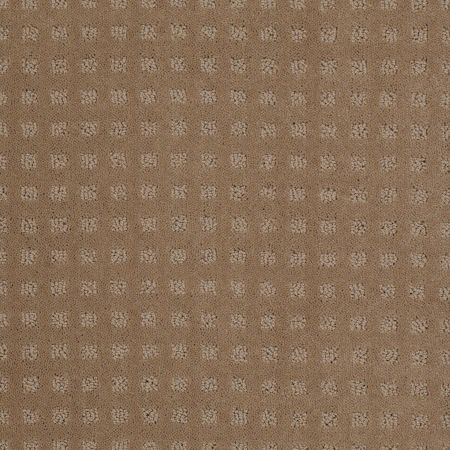 Shaw Floors Roll Special Xv621 Perfect Beige