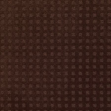 Shaw Floors Roll Special Xv621 Tree Bark