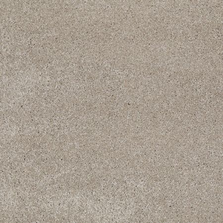 Shaw Floors Roll Special Xv694 Coastal Fog