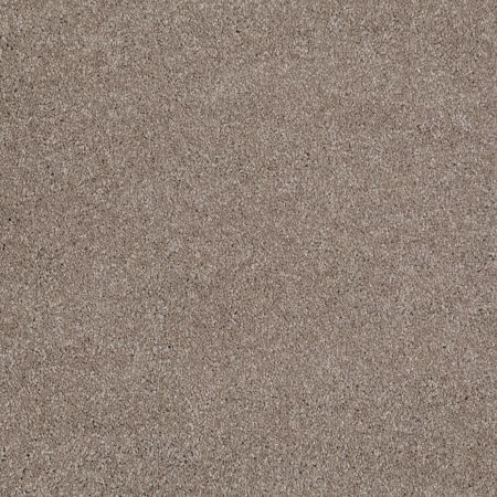 Shaw Floors Roll Special Xv694 Ashen