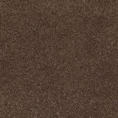 Shaw Floors Roll Special Xv694 Sedona