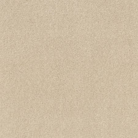 Shaw Floors Roll Special Xv789 Winter White