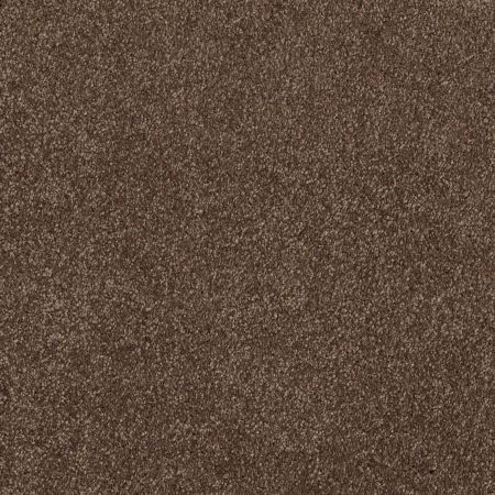 Shaw Floors Roll Special Xv813 Sedona