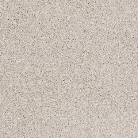 Shaw Floors Roll Special Xv814 Scone