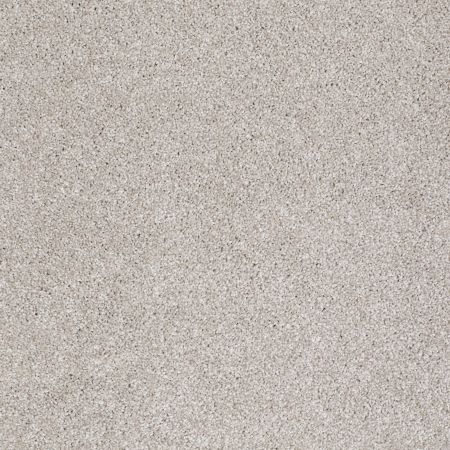 Shaw Floors Roll Special Xv814 Catnip