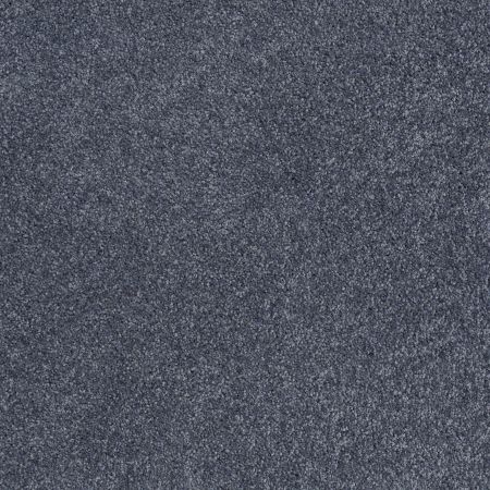 Shaw Floors Roll Special Xv815 Seacliff Heights