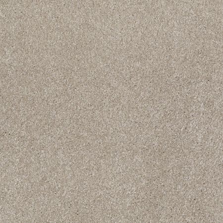 Shaw Floors Roll Special Xv815 Coastal Fog