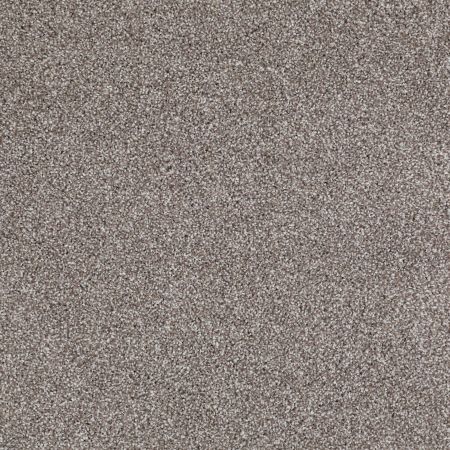 Shaw Floors Roll Special Xv816 Moccasin