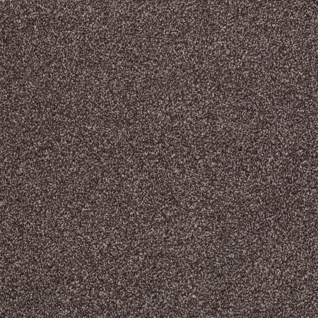 Shaw Floors Roll Special Xv816 Fudge Ripple