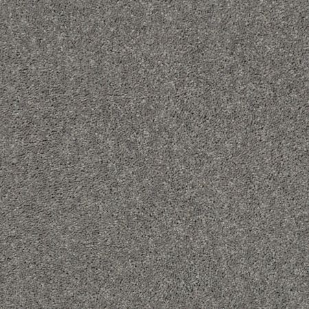 Shaw Floors Roll Special Xv865 Ink Spot