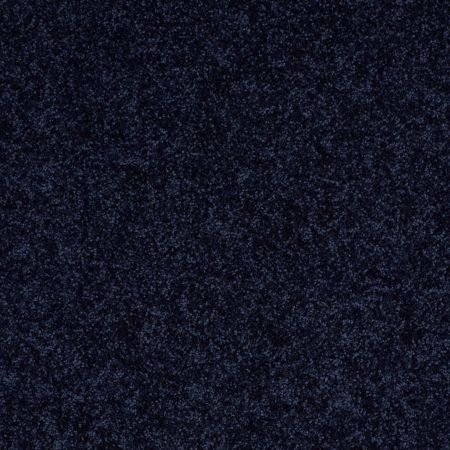 Shaw Floors Roll Special Xv866 Evening Sky
