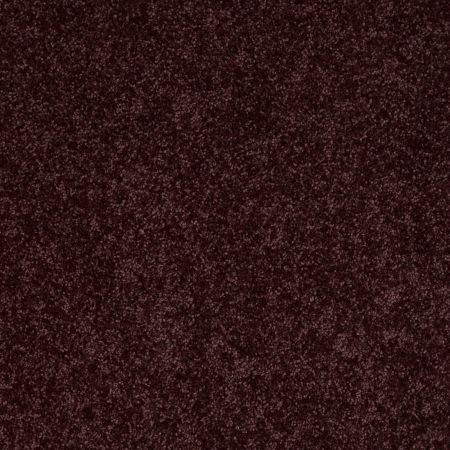 Shaw Floors Roll Special Xv866 Royal Purple