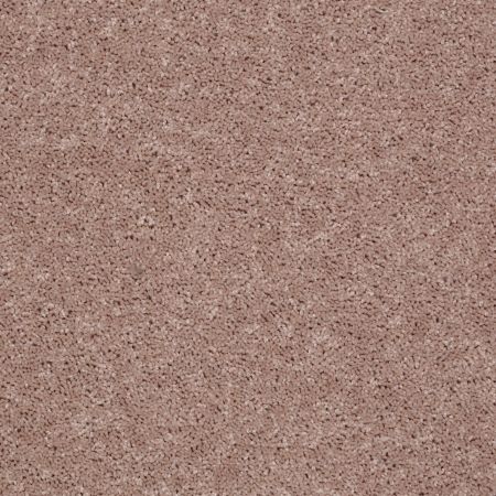 Shaw Floors Roll Special Xv867 Honeycomb