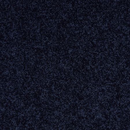 Shaw Floors Roll Special Xv867 Evening Sky