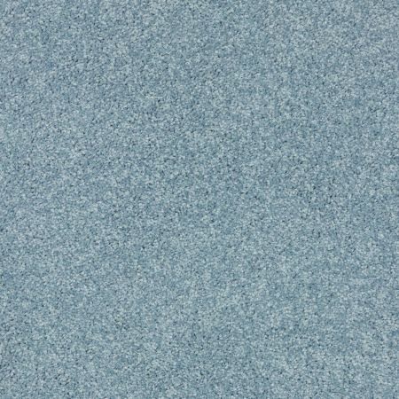 Shaw Floors Roll Special Xv867 Caribbean Coast