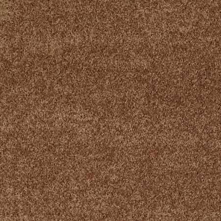 Shaw Floors Roll Special Xv867 Desert Sunrise