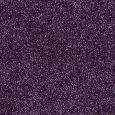 Shaw Floors Roll Special Xv867 Grape Slushy