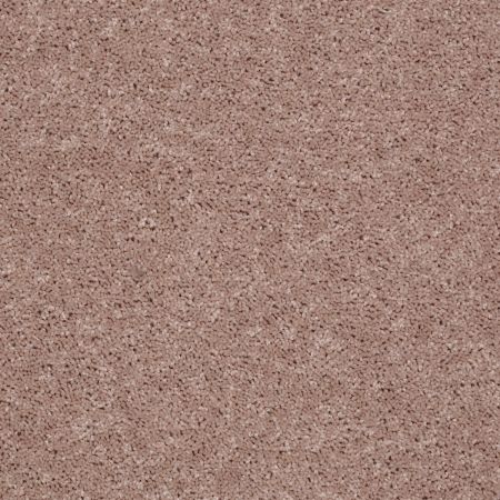 Shaw Floors Roll Special Xv868 Honeycomb