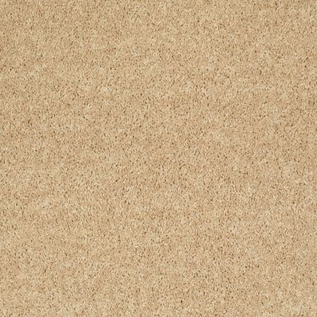 Shaw Floors Roll Special Xv868 Crumpet