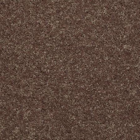 Shaw Floors Roll Special Xv868 Cattail