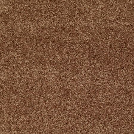 Shaw Floors Roll Special Xv868 Desert Sunrise