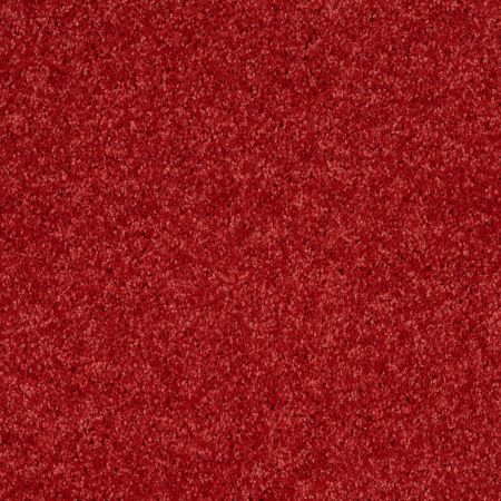 Shaw Floors Roll Special Xv882 Fire Engine