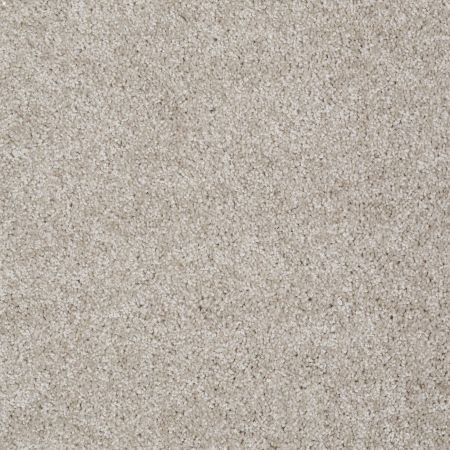 Shaw Floors Roll Special Xv893 Abalone