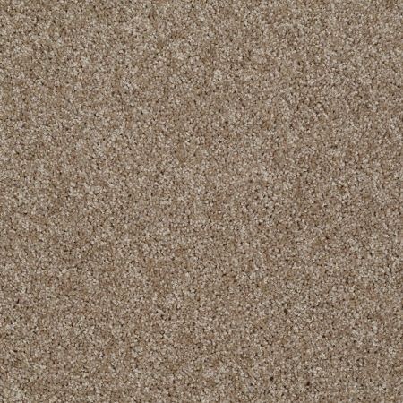 Shaw Floors Roll Special Xv893 Bungalow