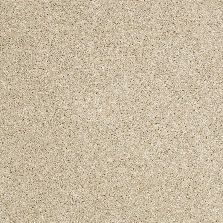 Shaw Floors Roll Special Xv925 Dunes