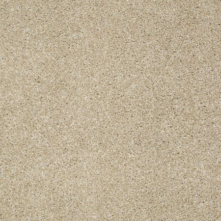 Shaw Floors Roll Special Xv925 Field Stone