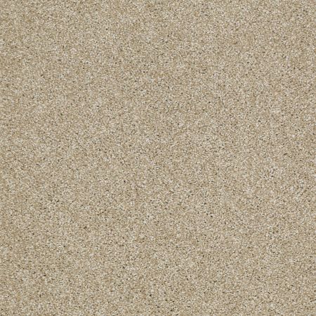 Shaw Floors Roll Special Xv925 Wool Skein