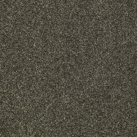 Shaw Floors Roll Special Xv925 Garden Retreat