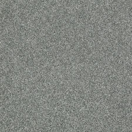 Shaw Floors Roll Special Xv925 Refreshing