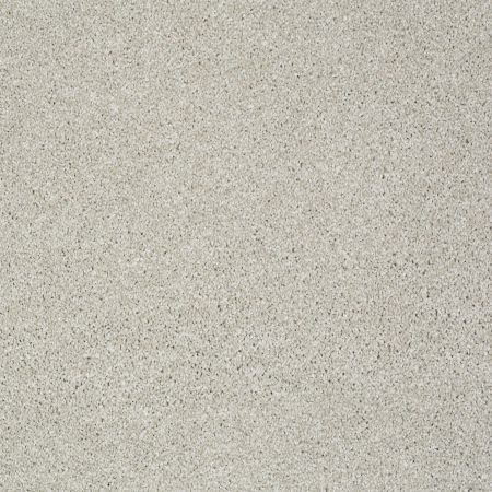 Shaw Floors Roll Special Xv925 Cold Water