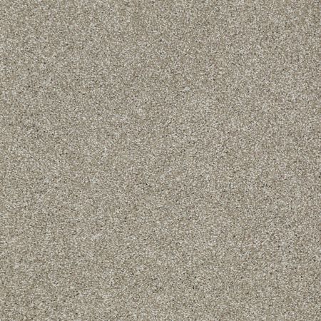 Shaw Floors Roll Special Xv925 Gray Flannel