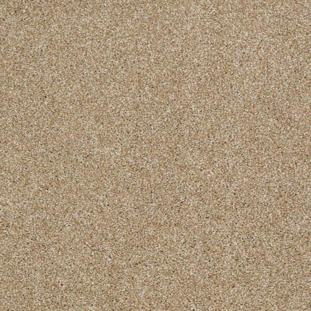 Shaw Floors Roll Special Xv925 Natural Wood