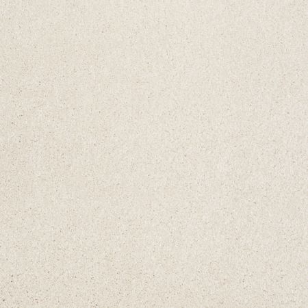 Shaw Floors Roll Special Xv930 Royal Silk