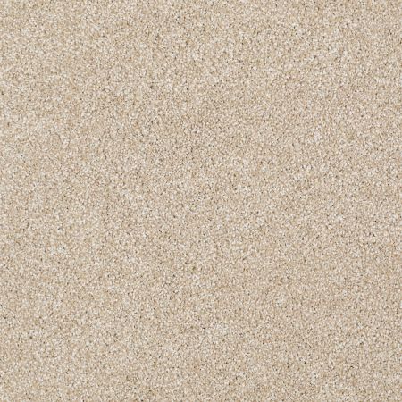 Shaw Floors Roll Special Xv931 Rich Butter