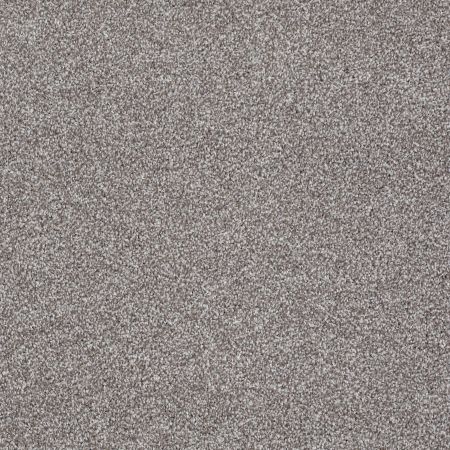 Shaw Floors Roll Special Xv931 Rice Pilaf