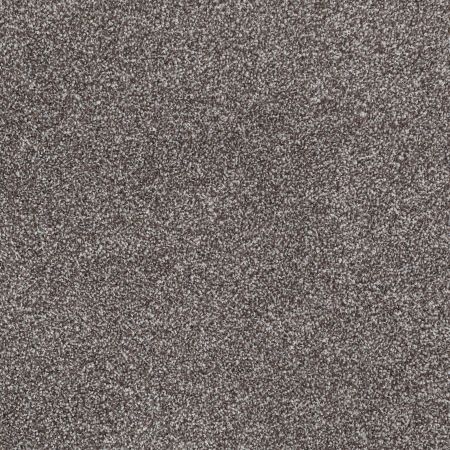 Shaw Floors Roll Special Xv931 Bear Mountain