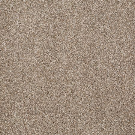 Shaw Floors Roll Special Xv931 Mole Hill