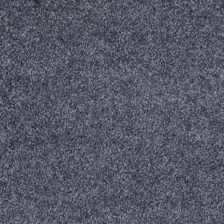 Shaw Floors Roll Special Xv974 North Shore