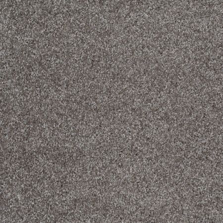 Shaw Floors Roll Special Xv974 Charcoal