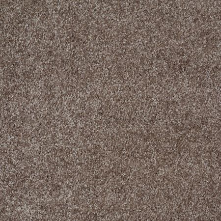 Shaw Floors Roll Special Xv974 Dockside