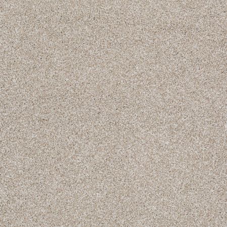 Shaw Floors Roll Special Xy024 Cork Board