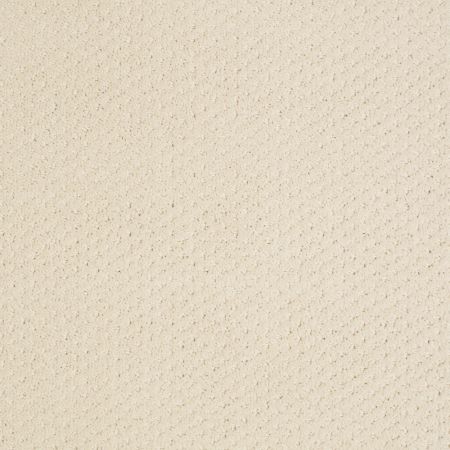 Shaw Floors Roll Special Xy093 Winter White